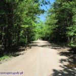 Fragment Ścieżki Przyrodniczej „Uroczysko Ceranów”